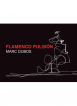 Flamenco pulsión