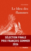 Le bleu des flammes